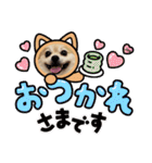 【ジョー＆はる】家族で使える日常スタンプ（個別スタンプ：10）