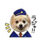 【ジョー＆はる】家族で使える日常スタンプ（個別スタンプ：20）