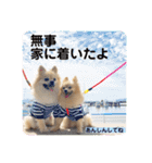 【ジョー＆はる】家族で使える日常スタンプ（個別スタンプ：23）