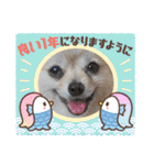 【ジョー＆はる】家族で使える日常スタンプ（個別スタンプ：38）