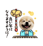 【ジョー＆はる】家族で使える日常スタンプ（個別スタンプ：39）