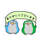 らくがき オキナインコ ノーマル＆ブルー 1（個別スタンプ：34）