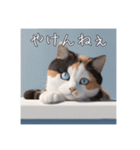 宇和島弁★ねこ（個別スタンプ：1）