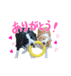 ルクシャイ兄弟②（個別スタンプ：1）