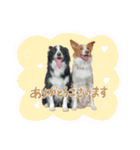 ルクシャイ兄弟②（個別スタンプ：2）