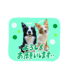 ルクシャイ兄弟②（個別スタンプ：3）