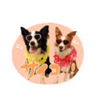 ルクシャイ兄弟②（個別スタンプ：7）
