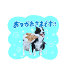 ルクシャイ兄弟②（個別スタンプ：8）