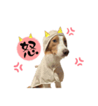 ルクシャイ兄弟②（個別スタンプ：10）