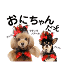 マティラとノアールの日常スタンプです（個別スタンプ：1）