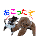 マティラとノアールの日常スタンプです（個別スタンプ：2）