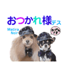 マティラとノアールの日常スタンプです（個別スタンプ：3）