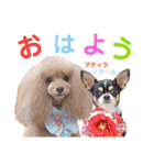マティラとノアールの日常スタンプです（個別スタンプ：4）