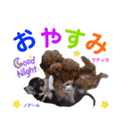 マティラとノアールの日常スタンプです（個別スタンプ：6）