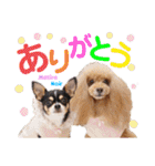マティラとノアールの日常スタンプです（個別スタンプ：8）