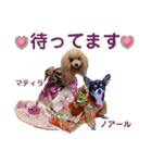 マティラとノアールの日常スタンプです（個別スタンプ：10）