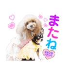 マティラとノアールの日常スタンプです（個別スタンプ：12）