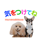マティラとノアールの日常スタンプです（個別スタンプ：14）