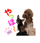 マティラとノアールの日常スタンプです（個別スタンプ：16）