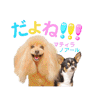 マティラとノアールの日常スタンプです（個別スタンプ：17）