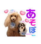 マティラとノアールの日常スタンプです（個別スタンプ：19）
