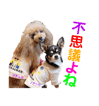 マティラとノアールの日常スタンプです（個別スタンプ：20）