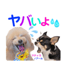 マティラとノアールの日常スタンプです（個別スタンプ：22）