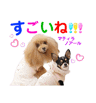 マティラとノアールの日常スタンプです（個別スタンプ：23）