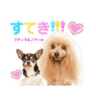 マティラとノアールの日常スタンプです（個別スタンプ：24）
