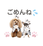 マティラとノアールの日常スタンプです（個別スタンプ：29）