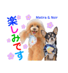 マティラとノアールの日常スタンプです（個別スタンプ：32）