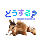 マティラとノアールの日常スタンプです（個別スタンプ：33）