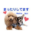マティラとノアールの日常スタンプです（個別スタンプ：36）