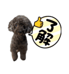 さにおパセタイジジ（個別スタンプ：2）
