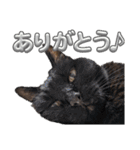さにおパセタイジジ（個別スタンプ：3）