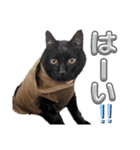 さにおパセタイジジ（個別スタンプ：8）