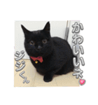 さにおパセタイジジ（個別スタンプ：11）