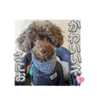 さにおパセタイジジ（個別スタンプ：12）
