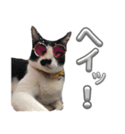 さにおパセタイジジ（個別スタンプ：16）