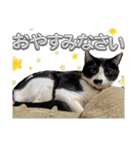 さにおパセタイジジ（個別スタンプ：19）