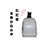 さにおパセタイジジ（個別スタンプ：28）