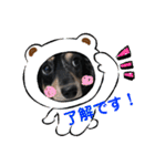 ダックス♪めいちゃん（個別スタンプ：11）