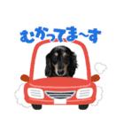 ダックス♪めいちゃん（個別スタンプ：14）