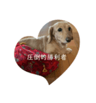 圧倒的勝利者達（個別スタンプ：5）