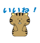 キジトラcatのスタンプ2（個別スタンプ：3）