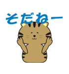 キジトラcatのスタンプ2（個別スタンプ：7）