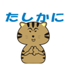 キジトラcatのスタンプ2（個別スタンプ：9）