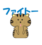 キジトラcatのスタンプ2（個別スタンプ：13）