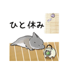 うさぽんの夏うさぎスタンプ2（個別スタンプ：24）