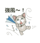 【台風•大雨•雷】仔猫のぽんにゃん（個別スタンプ：5）